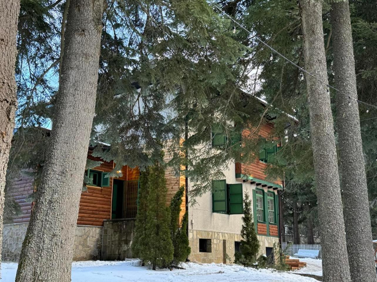 Villa Adis With Hot Pool & Jacuzzi By Bookvillabg Borovets Exterior photo